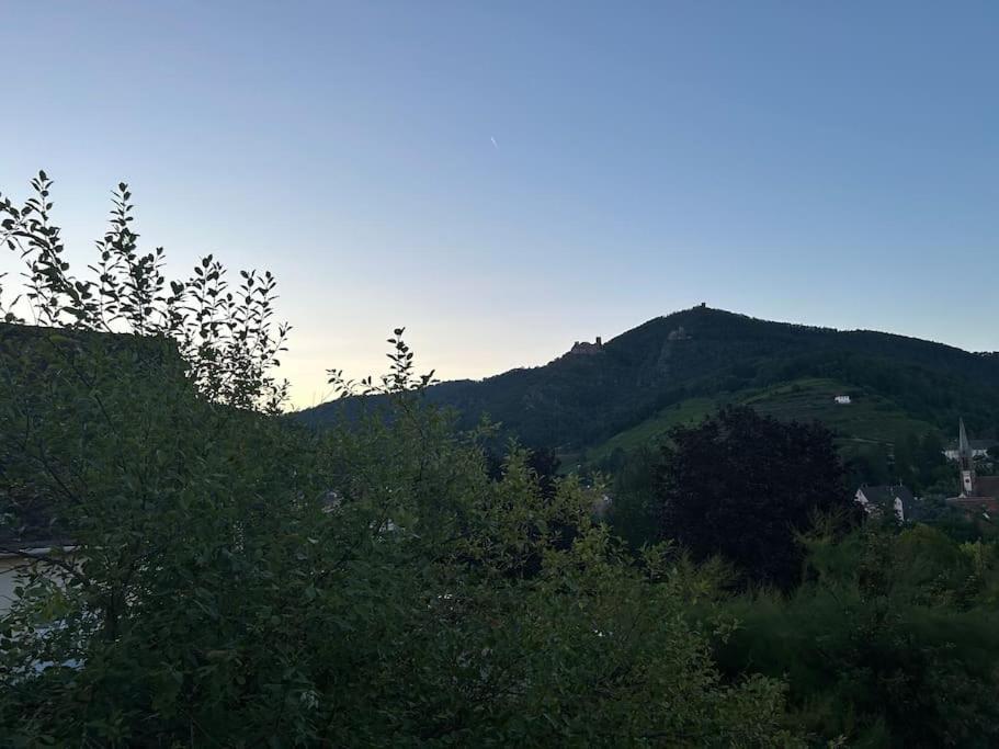 Vue Magnifique Sur Les Chateaux Ribeauvillé Екстериор снимка