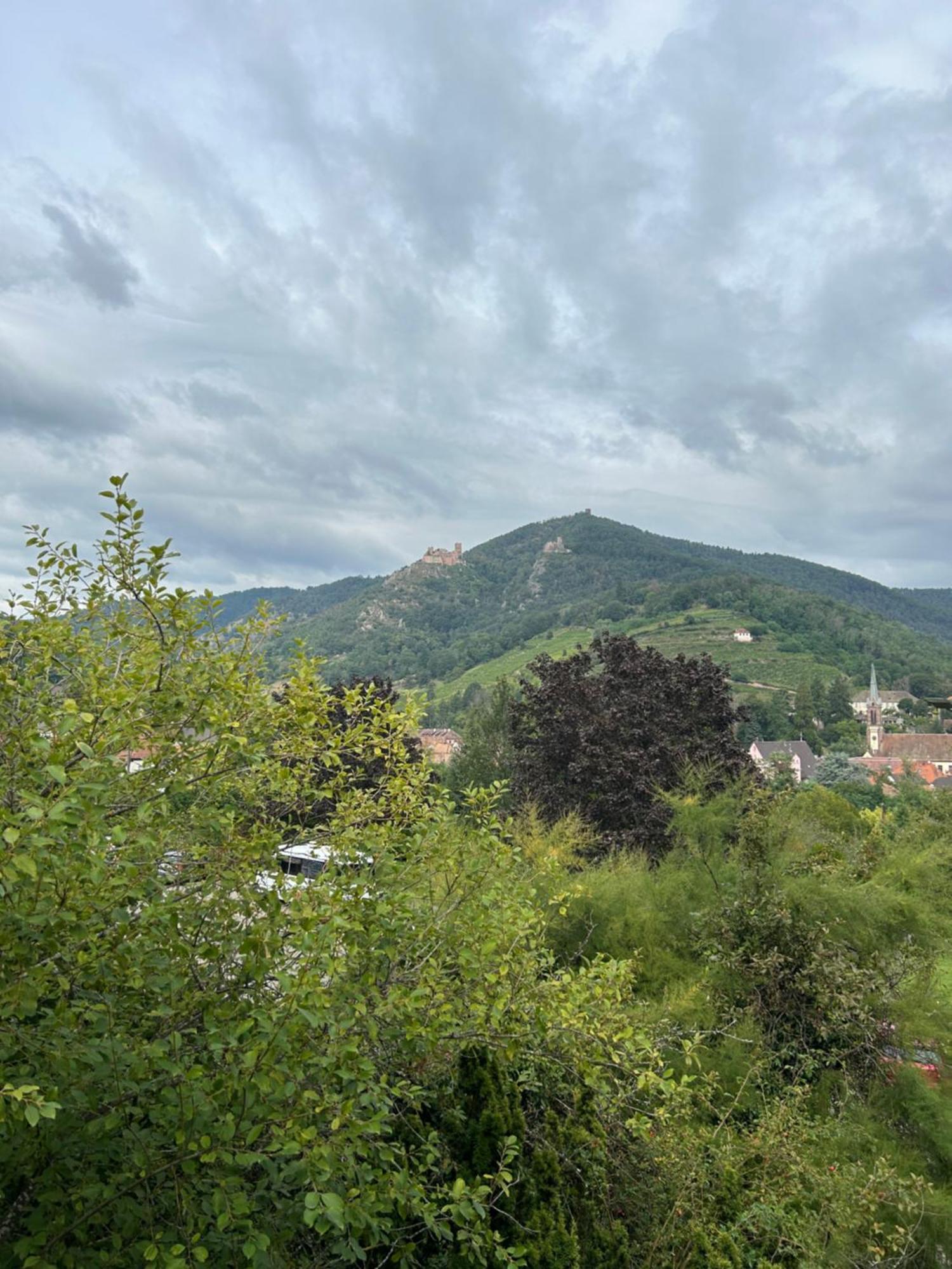 Vue Magnifique Sur Les Chateaux Ribeauvillé Екстериор снимка